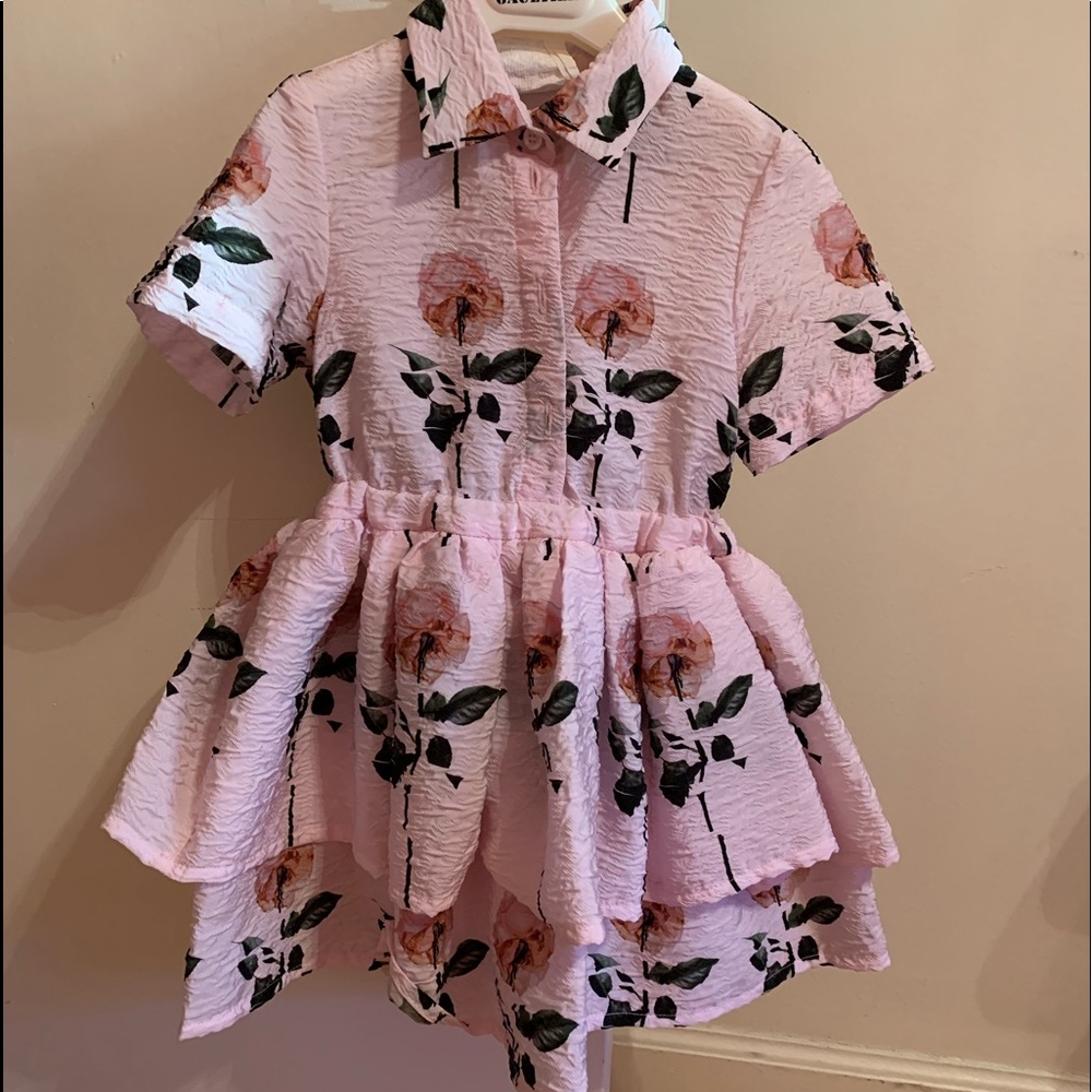 Caroline bosmans rose dress